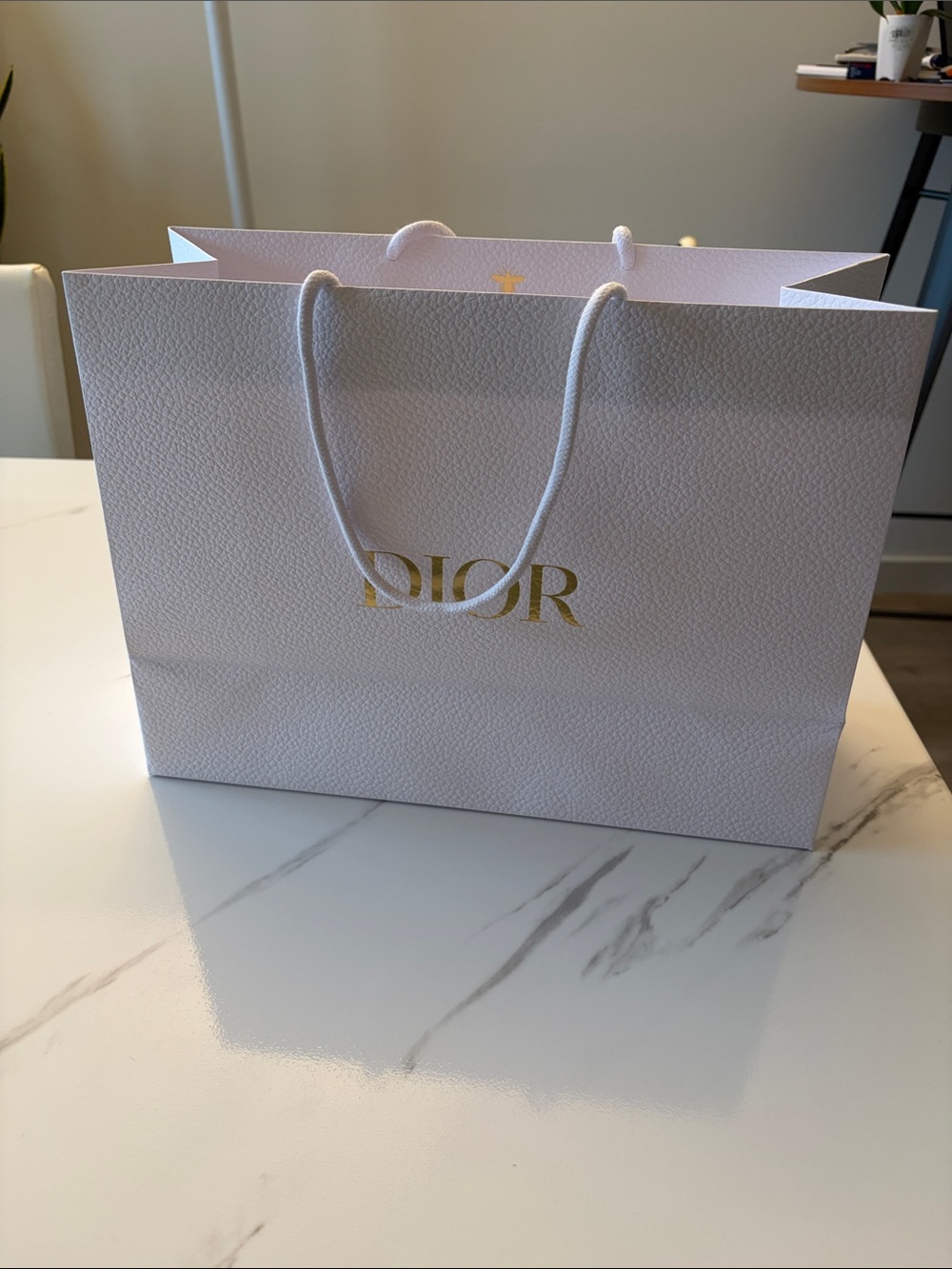 DIOR gift shopping bag